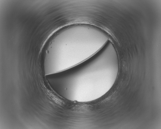 X0000056020926200508190916