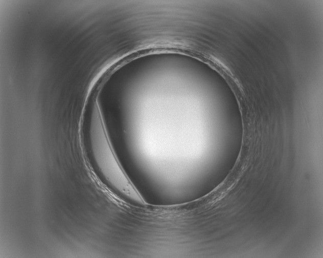 X0000056020928200508190916