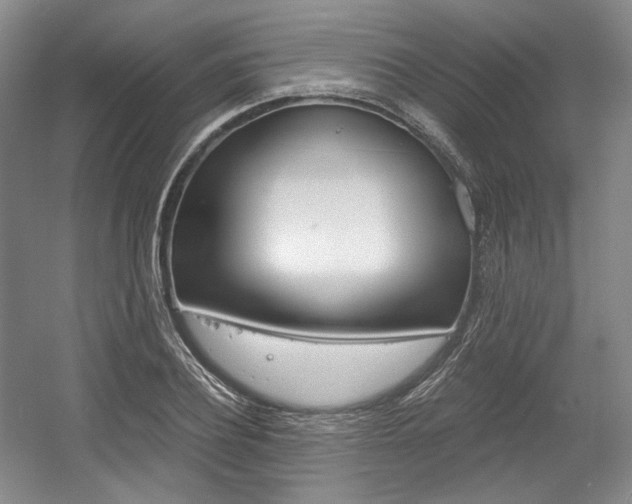 X0000056020932200508190916