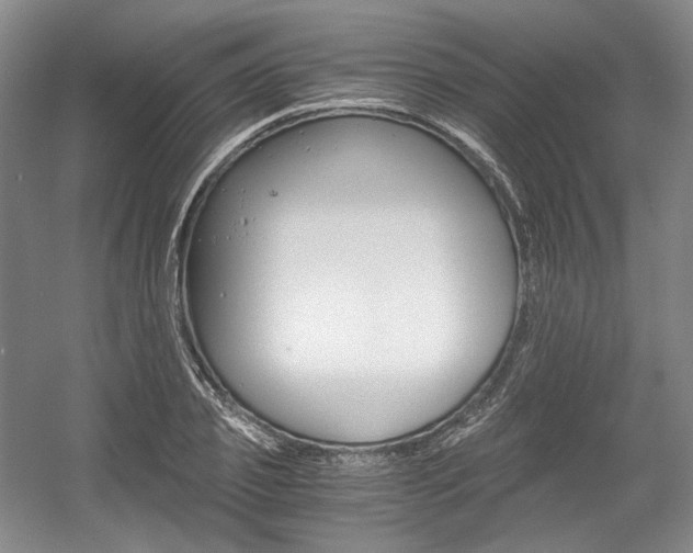X0000056020933200508190916