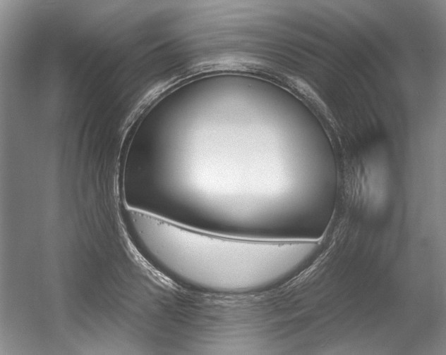 X0000056020938200508190916