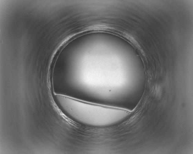 X0000056020939200508190916