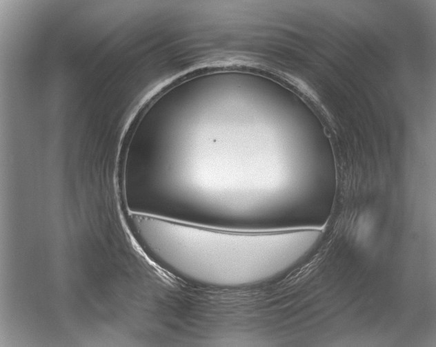 X0000056020943200508190916