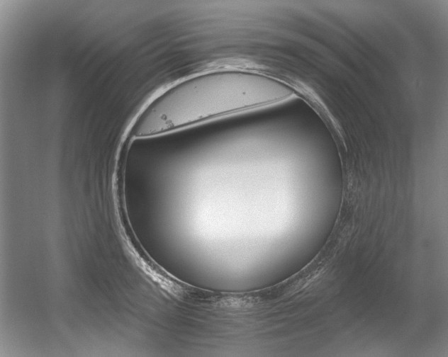 X0000056020947200508190916