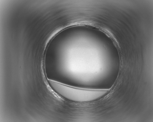 X0000056020952200508190917