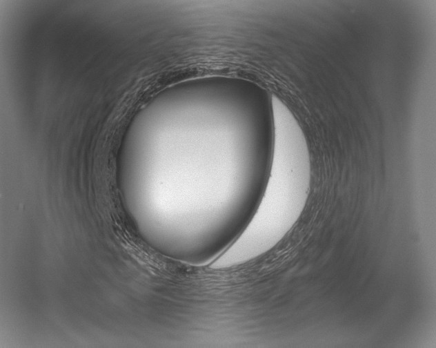 X0000056020961200508190916