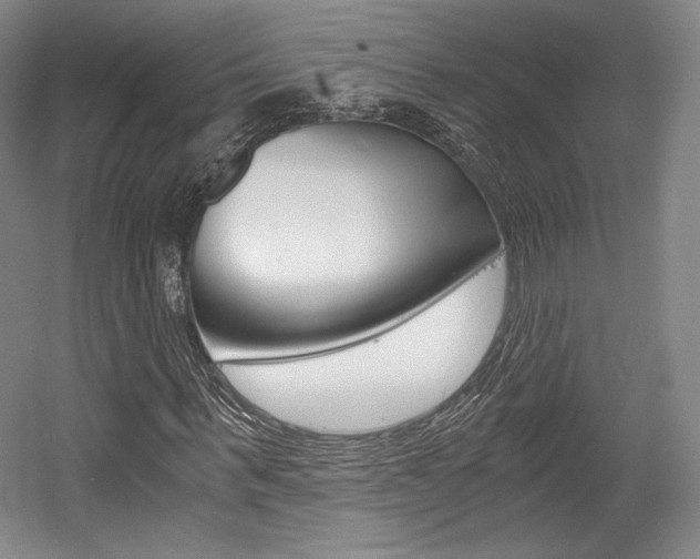 X0000056020963200508190916