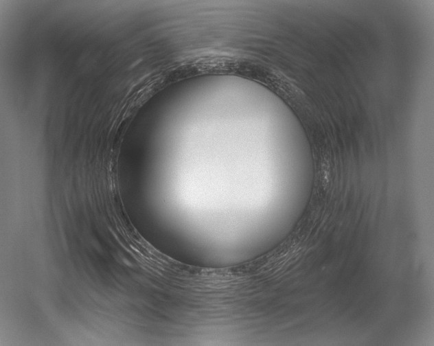 X0000056020964200508190916