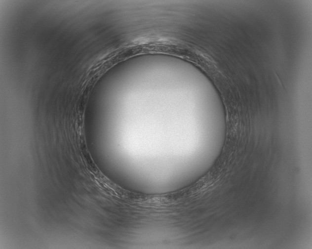 X0000056020966200508190916