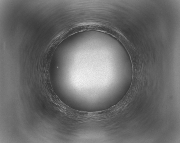 X0000056020967200508190916