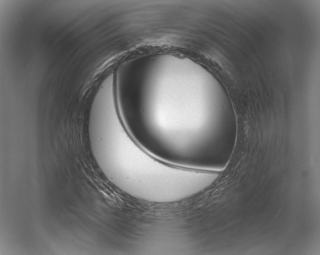 X0000056020968200508190916