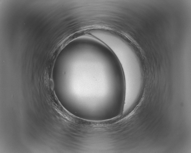 X0000056020969200508190916