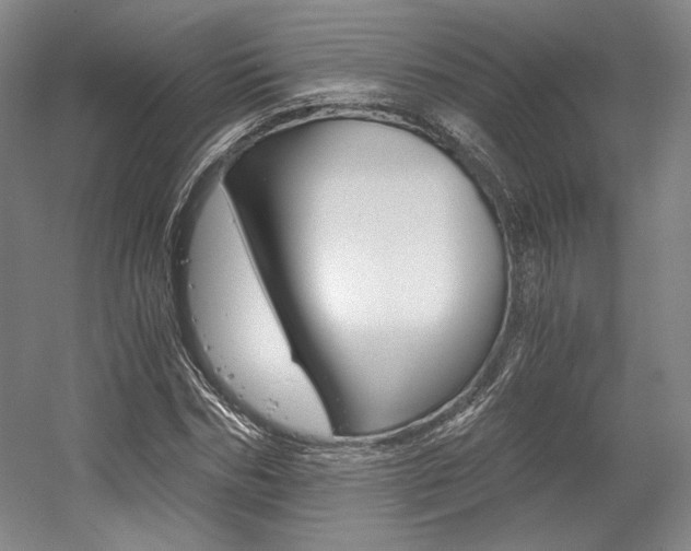 X0000056020970200508190916