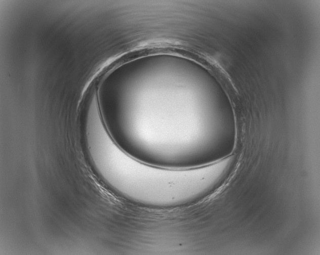 X0000056020973200508190916