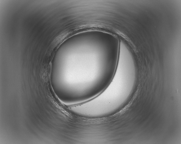 X0000056020977200508190916
