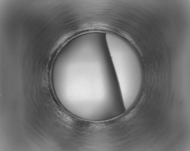 X0000056020978200508190916