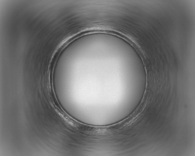 X0000056020982200508190916