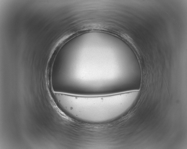 X0000056020987200508190915