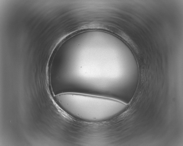 X0000056020988200508190915