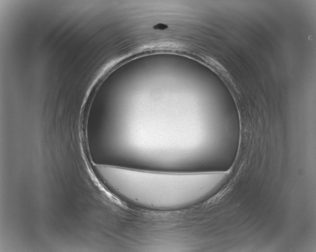 X0000056020989200508190915