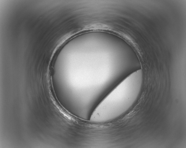 X0000056020990200508190915