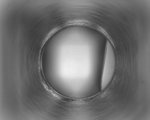 X0000056020994200508190915