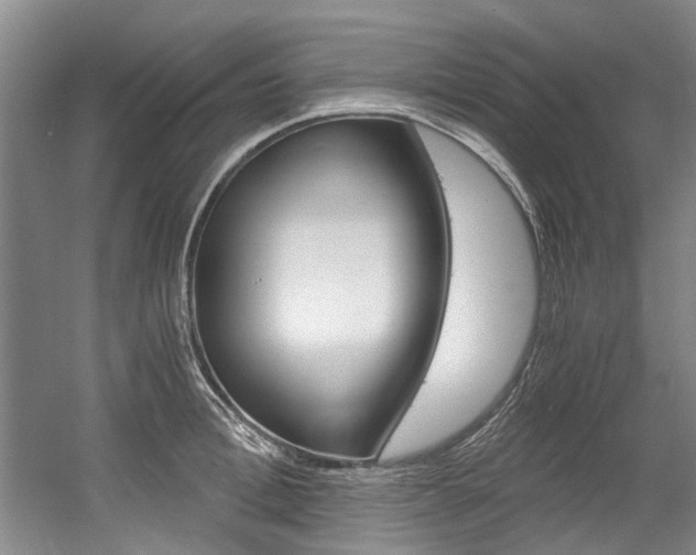 X0000056020996200508190915