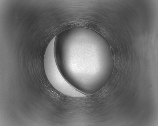 X0000056021010200508190914
