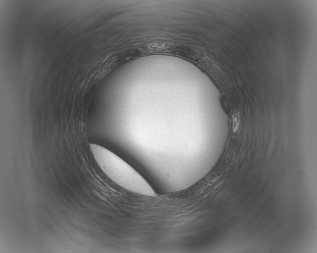 X0000056021011200508190914
