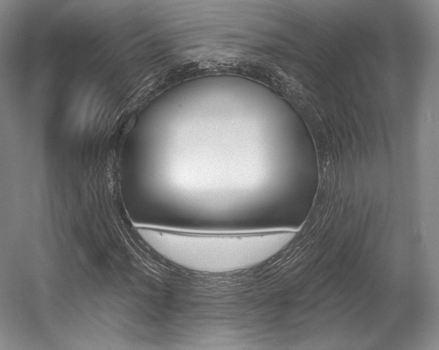 X0000056021012200508190914