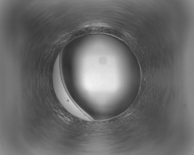 X0000056021014200508190914