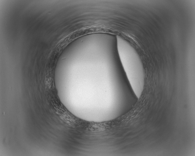 X0000056021015200508190914