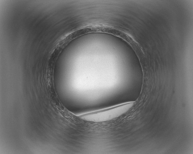 X0000056021016200508190914