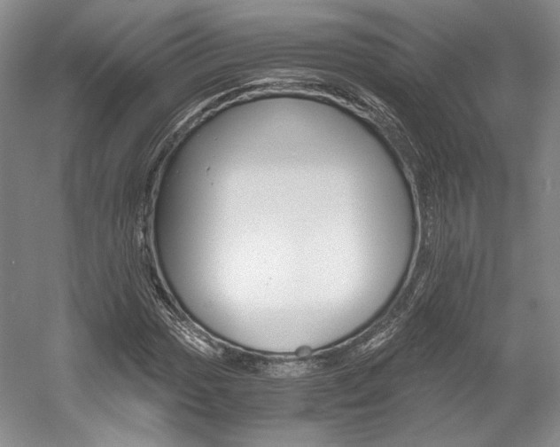 X0000056021017200508190914