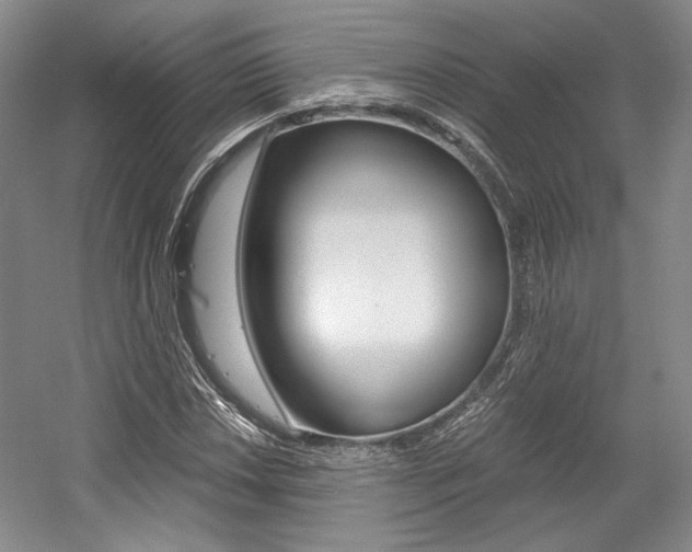 X0000056021018200508190914