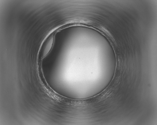 X0000056021020200508190914