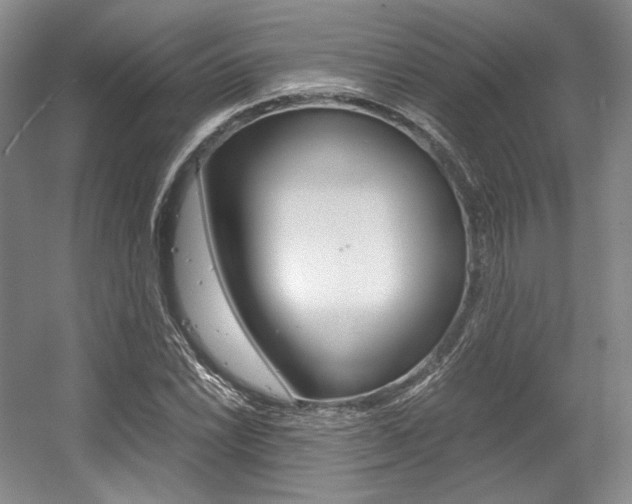 X0000056021022200508190914