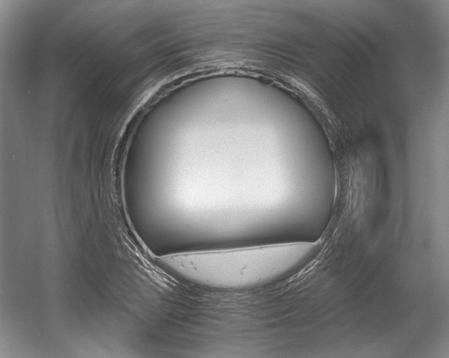 X0000056021023200508190914