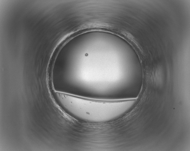 X0000056021024200508190915