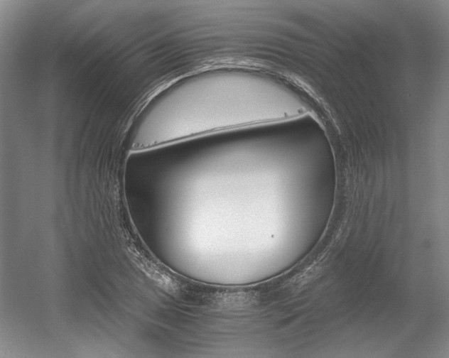 X0000056021025200508190915