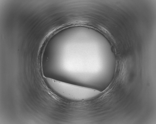 X0000056021027200508190915