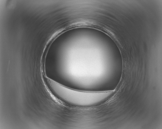 X0000056021034200508190915