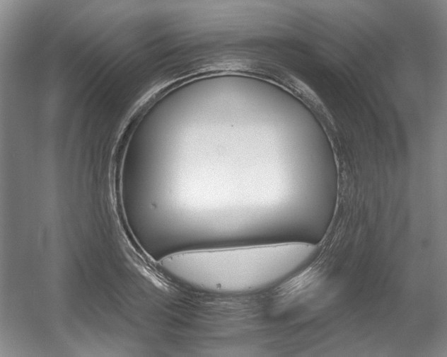 X0000056021035200508190915