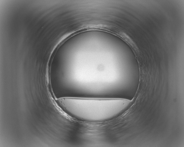 X0000056021036200508190915