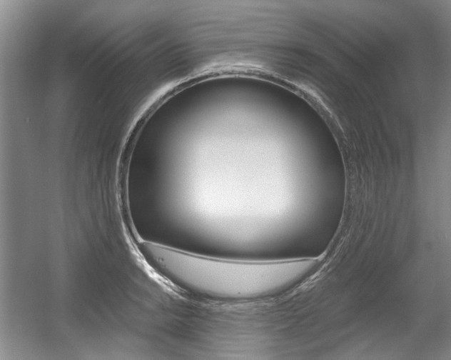 X0000056021038200508190915