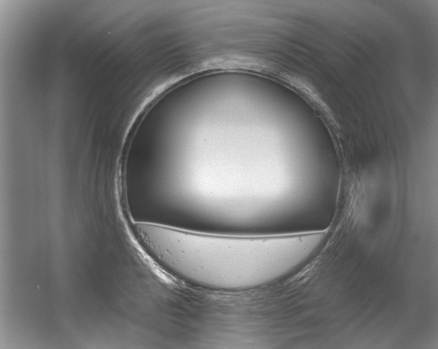 X0000056021040200508190915