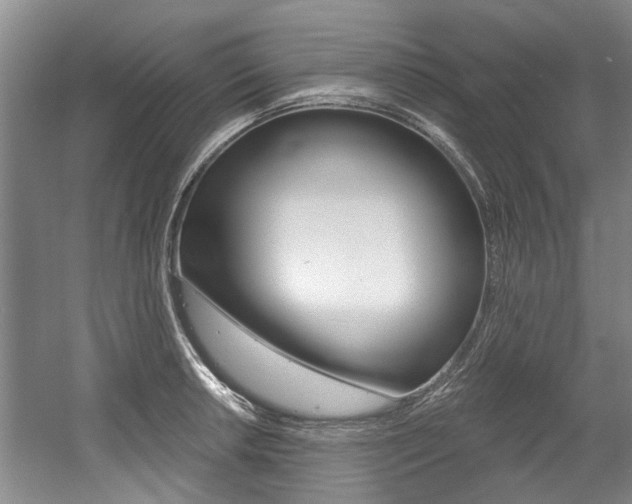 X0000056021042200508190915