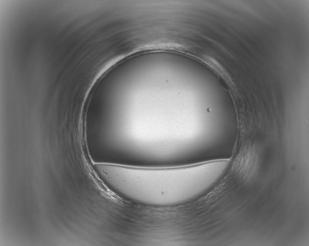 X0000056021044200508190915