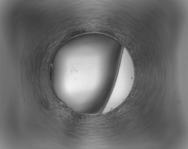 X0000056021057200508190914