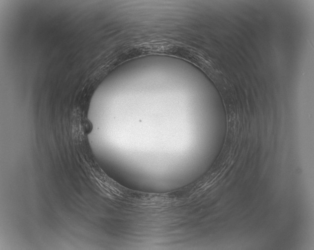 X0000056021058200508190914